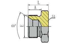 英管外螺纹60º内锥堵头